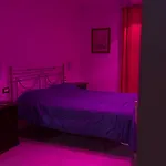 Magic Dream , Bari